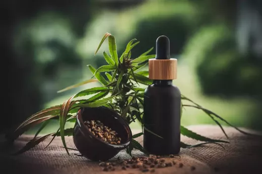 Tracing the Evolution of CBD through History