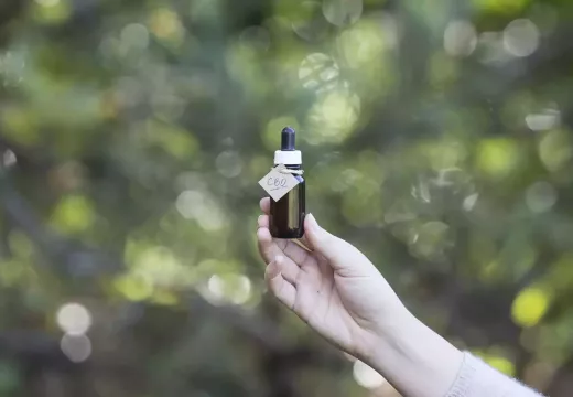 The Top 10 Hemp Products You Need to Try for a Healthier Lifestyle